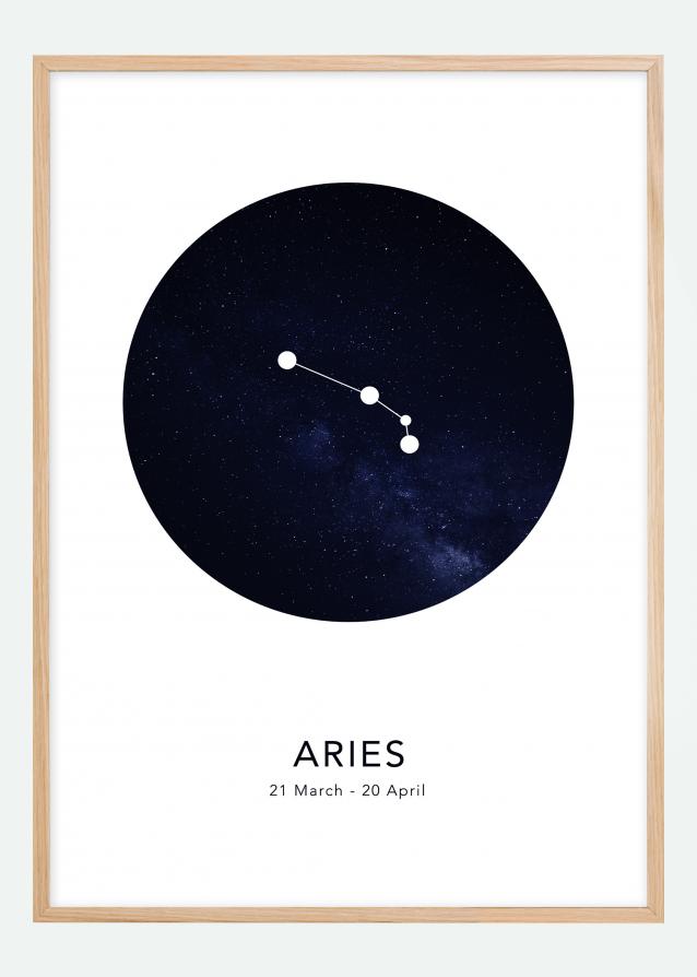 Aries Plakat
