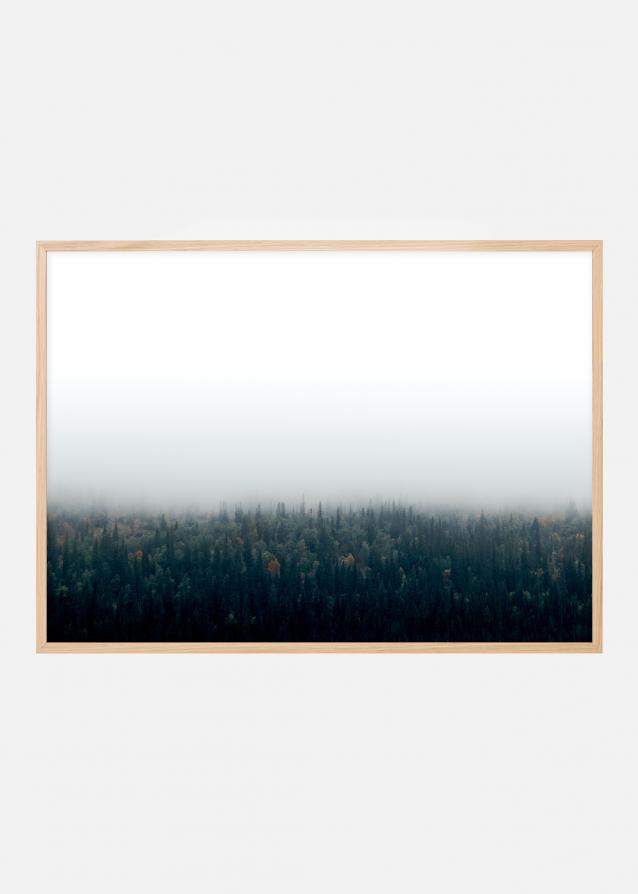 Forests in fog Plakat