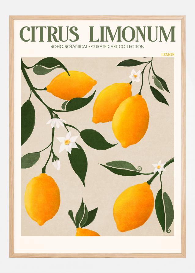 Boho Citrus Limonum Plakat