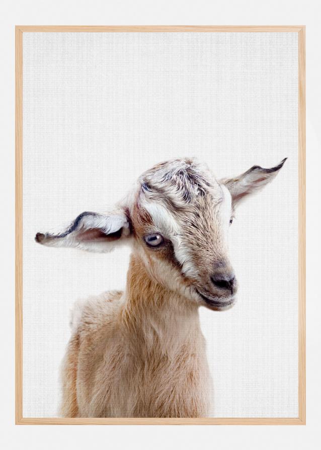 Peekaboo Baby Goat Plakat