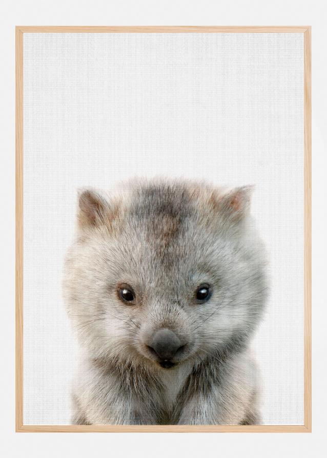 Peekaboo Baby Wombat Plakat