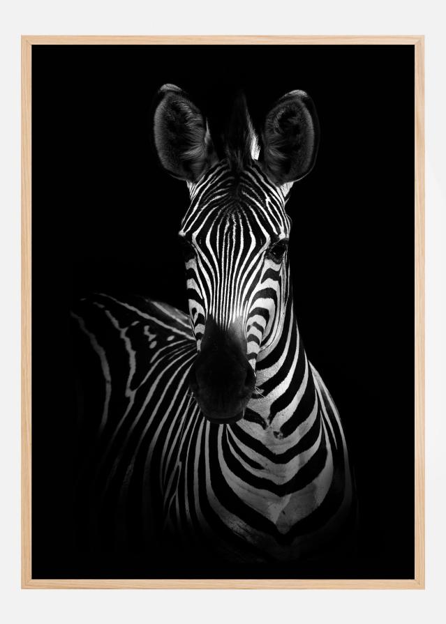 The Zebra Plakat