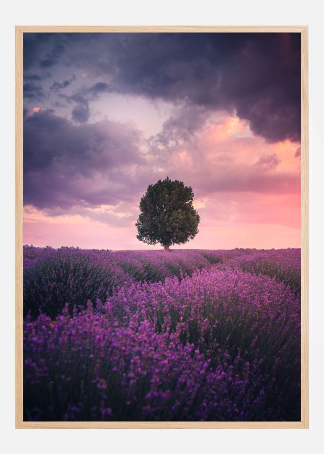 Lavender Fields Plakat