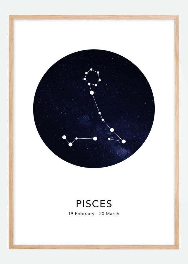 Pisces Plakat