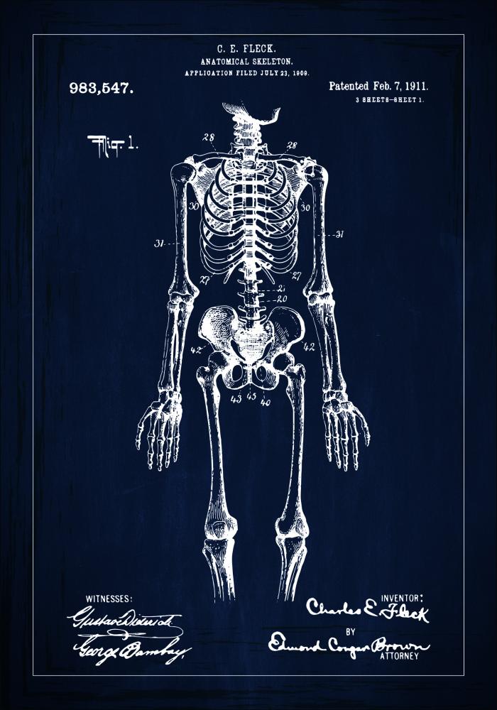 Patenttegning - Skjelett I - Blå Plakat