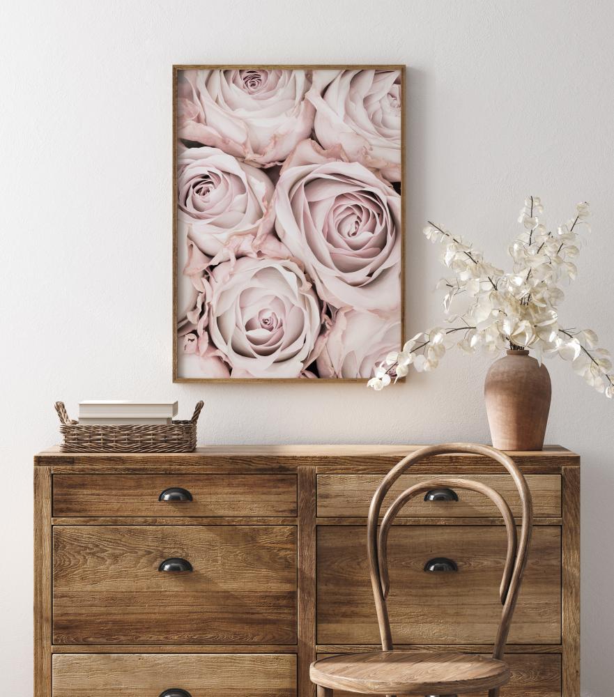 Pink Roses Plakat