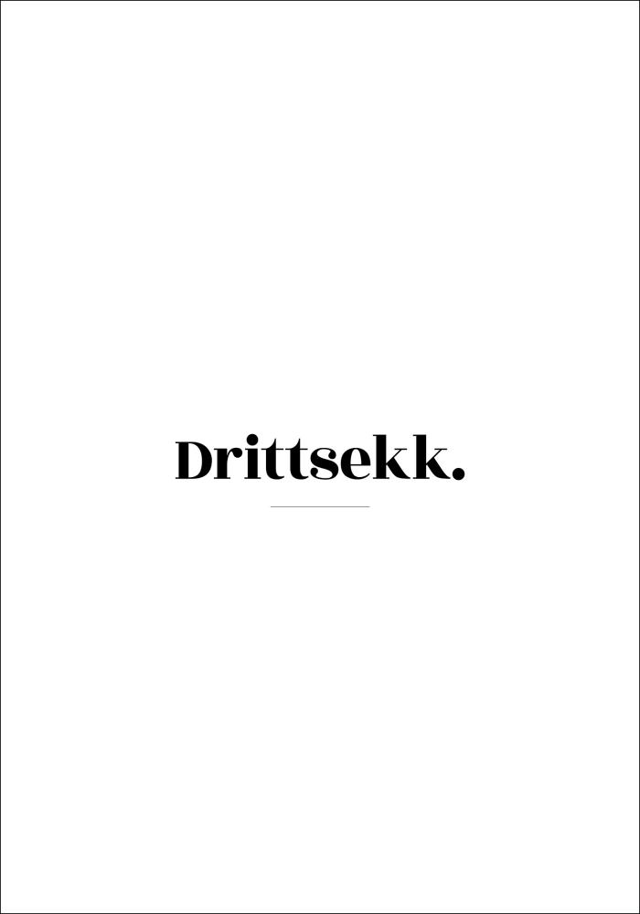 Sitat - Skam - Drittsekk - Hvit Plakat