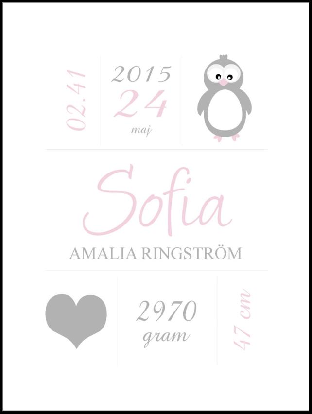 Penguin Birth Poster Pink