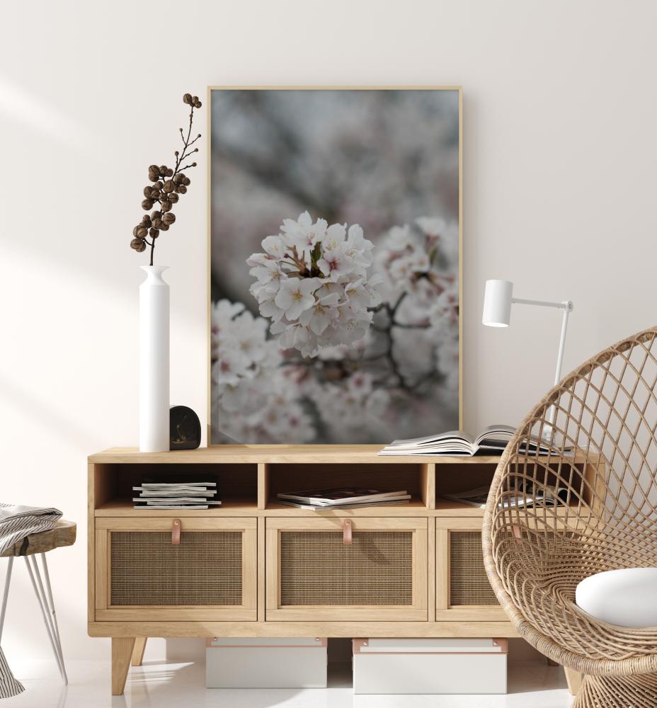 Cherryblossom Plakat