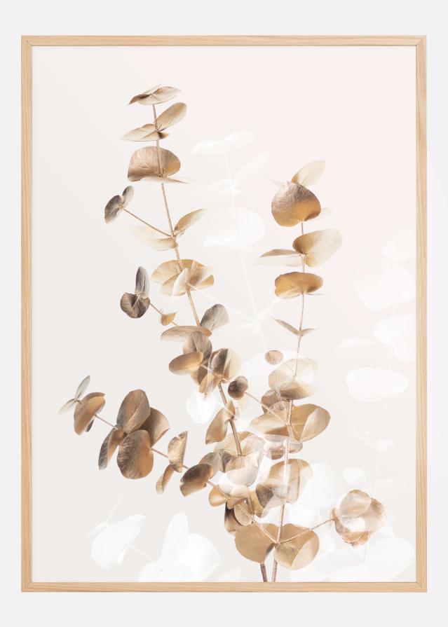 Eucalyptus Creative Gold II Plakat