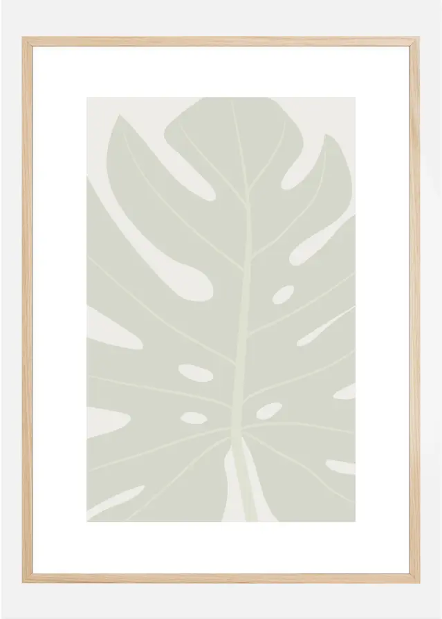 MONSTERA Plakat