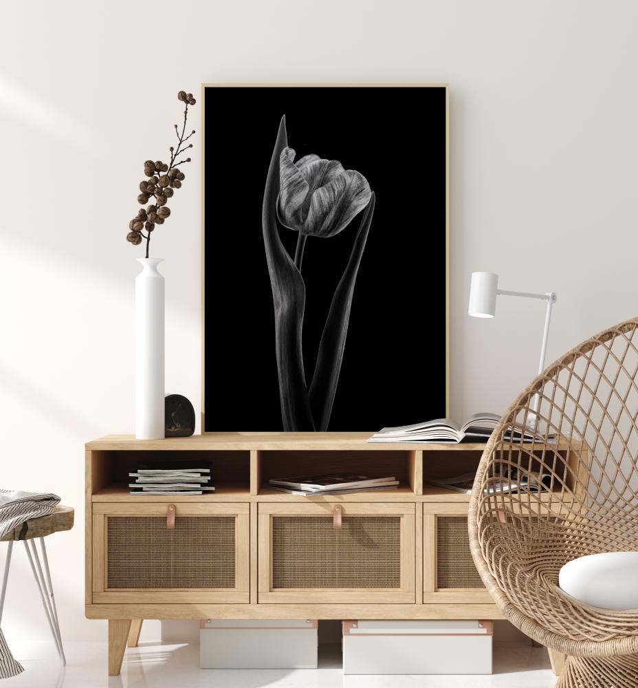 Rembrandt Tulip Plakat