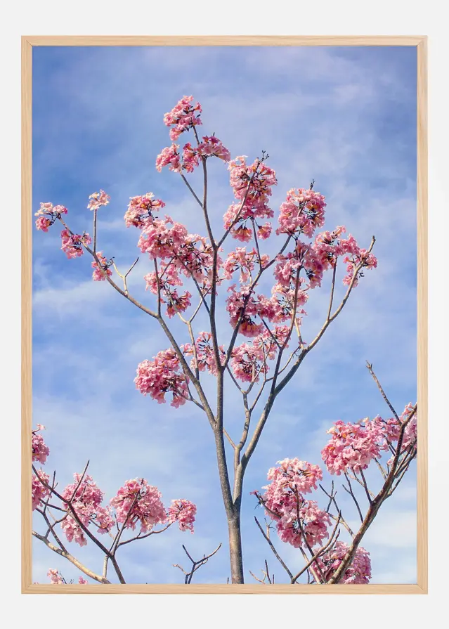 Cherrytree Plakat