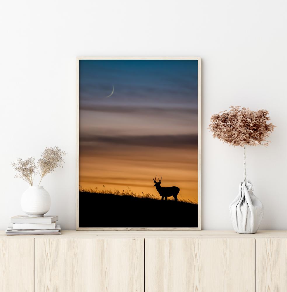 Deer In Sunset Plakat