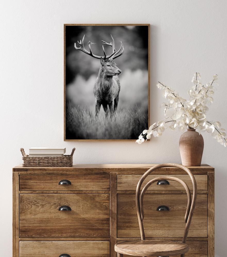 Deer With Horns Plakat