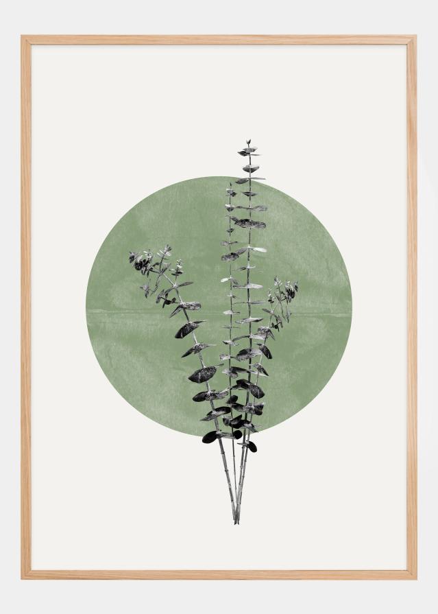 Eucalyptus and Green Moon Plakat