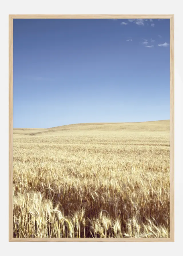 Beige Fields Plakat