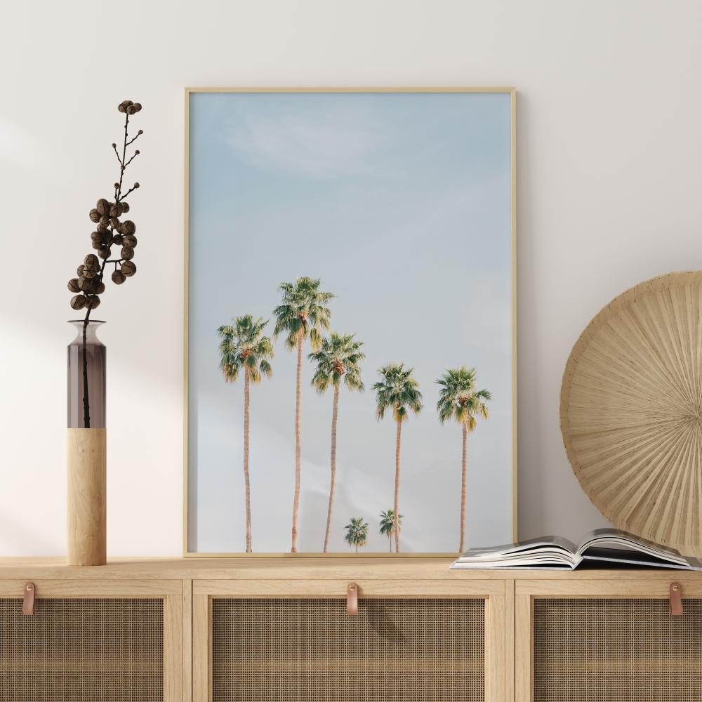 Palm Trees Plakat