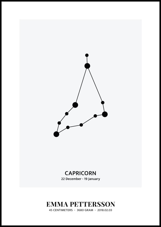 Capricorn - Stjernetegn