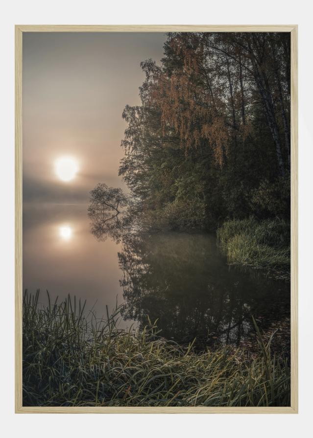 Foggy Fall Lake Plakat