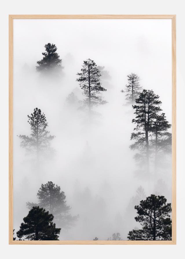 Fogy Forest Plakat