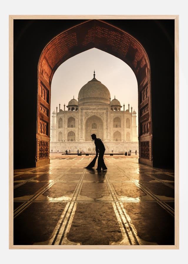 Taj mahal cleaner Plakat