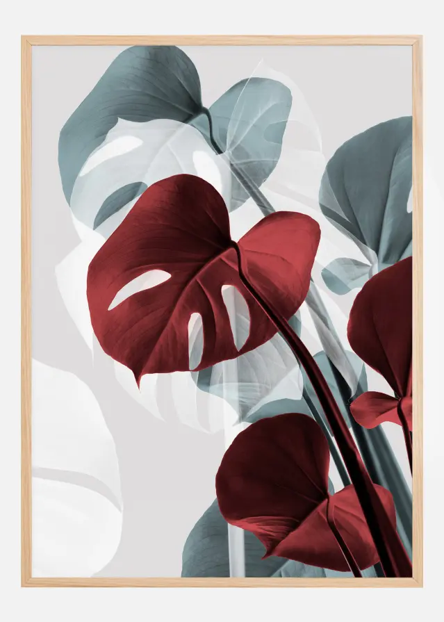 Monstera Creative II Plakat