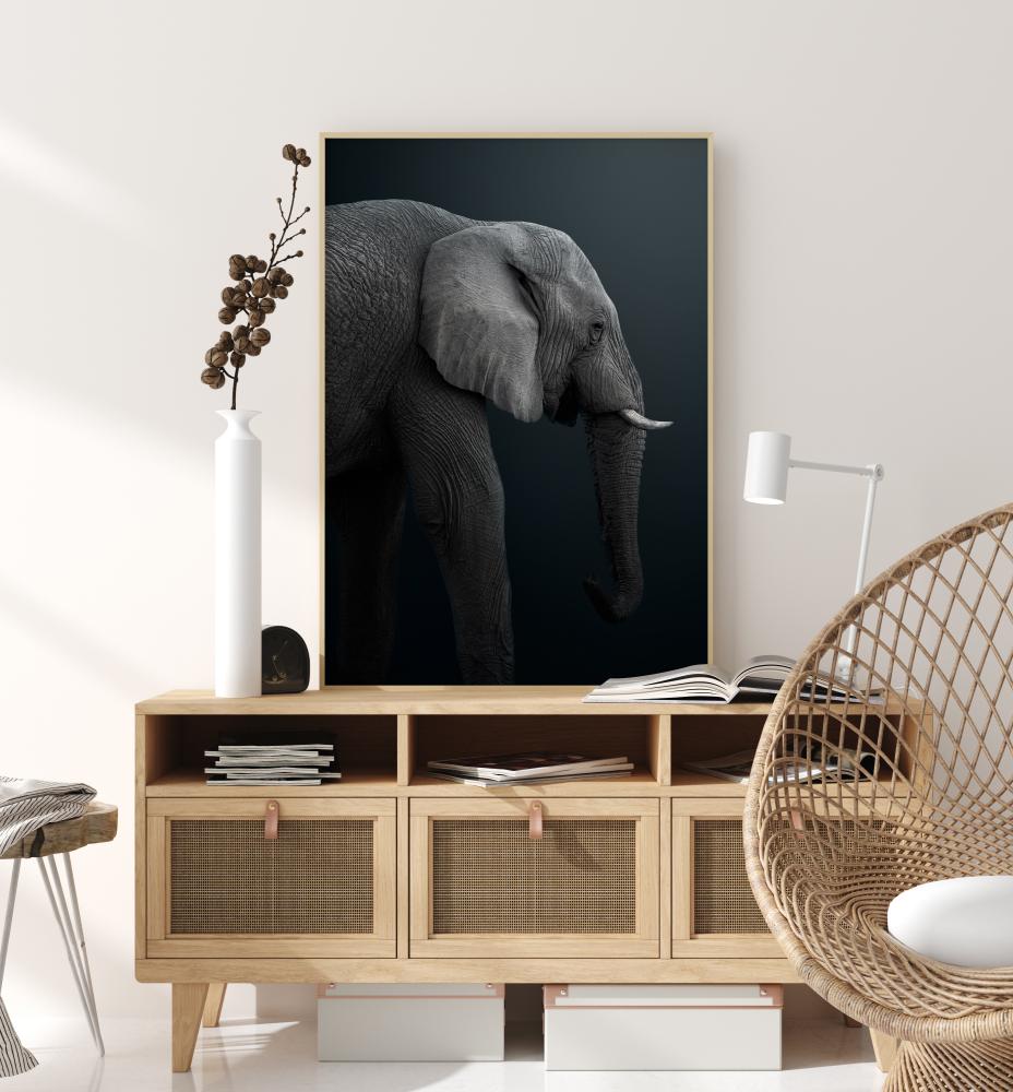 Namibian Elephant Plakat