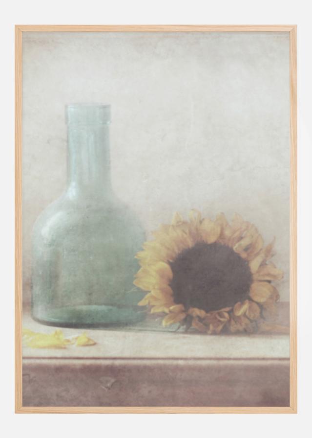 Sunflower Plakat