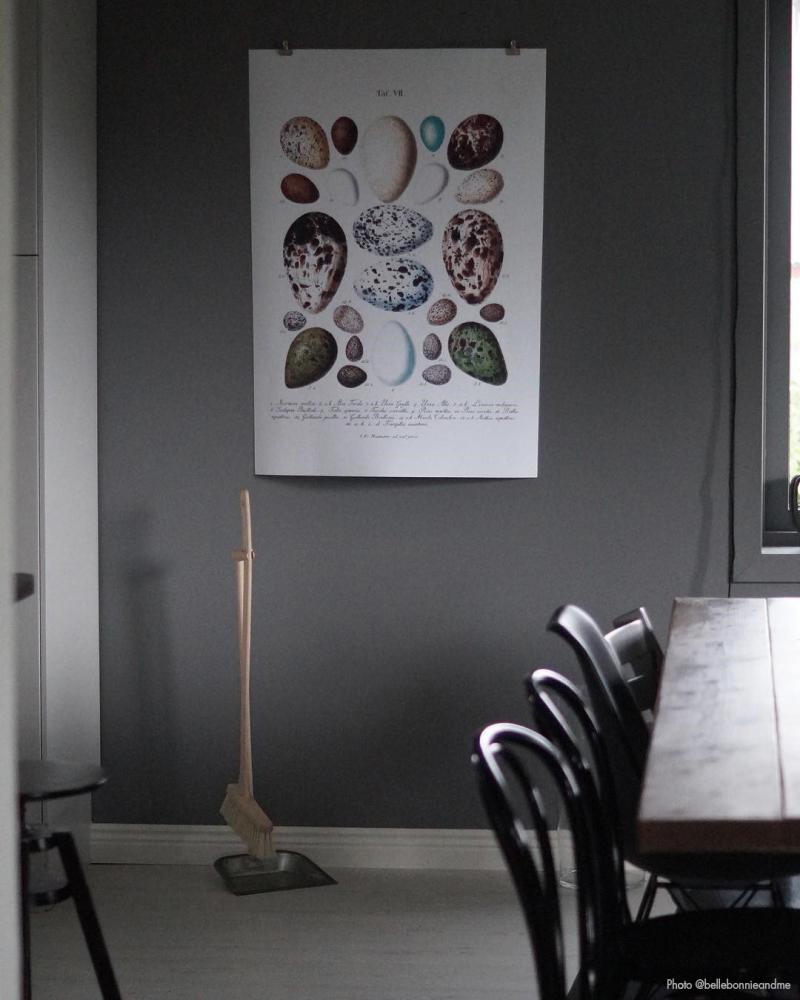 Fugleegg - Plakat