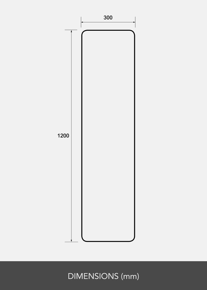 Speil Rectangle L 30x120 cm