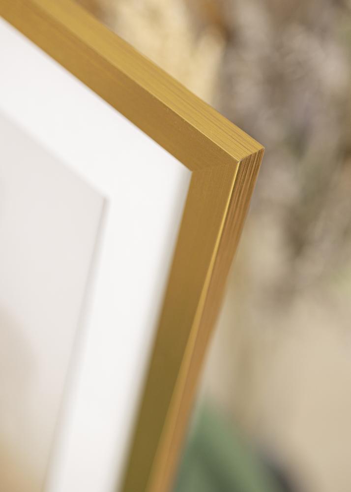 Ramme Gold Wood 50x60 cm - Passepartout Hvit 40x50 cm